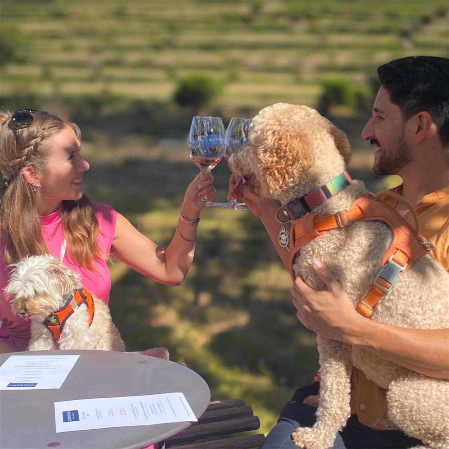 A couple toasting wine glasses with their two dogs at a Napa Valley winery